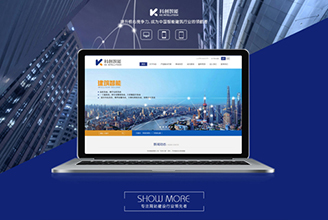 企業(yè)網站解決方案